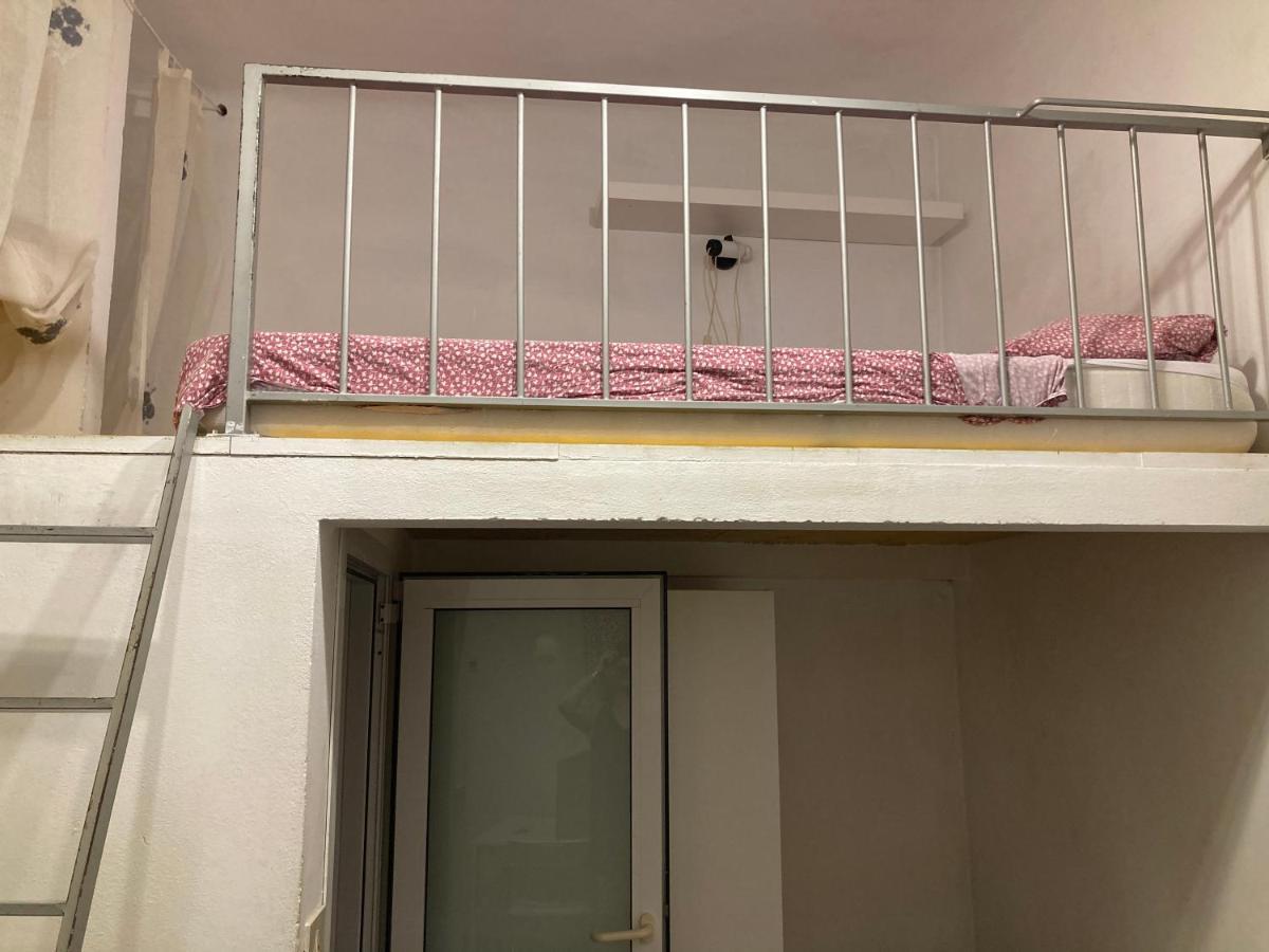 בולוניה Via Fondazza B&B מראה חיצוני תמונה